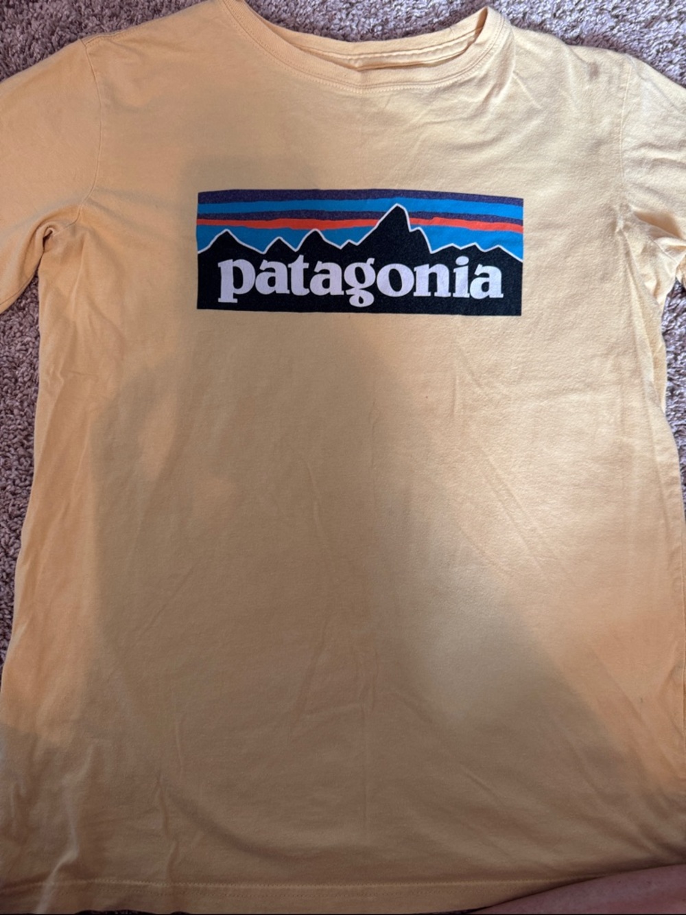 Boys Patagonia Yellow Graphic Logo Tee with Multicolor Stripe